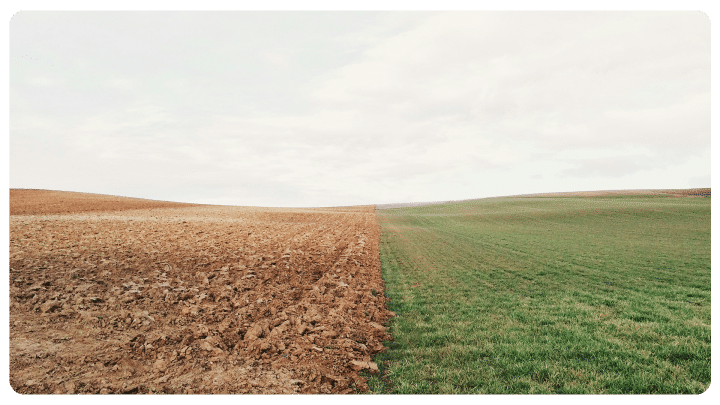 Landscape 1.png